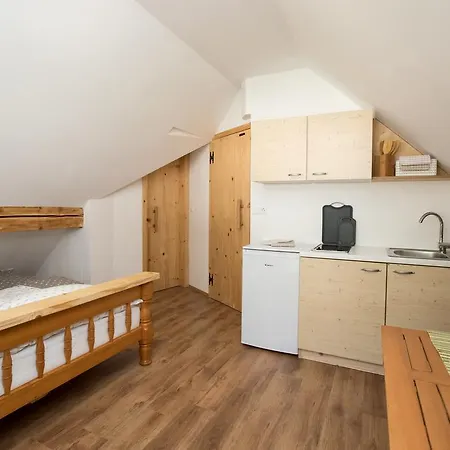 Trisa Apartments Bohinj Exterior photo