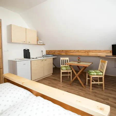 Trisa Apartments Bohinj Exterior photo