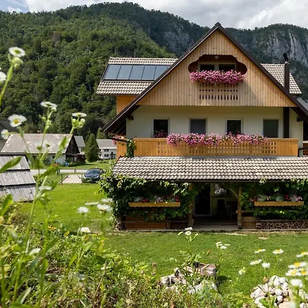 Trisa Apartments Bohinj Exterior photo