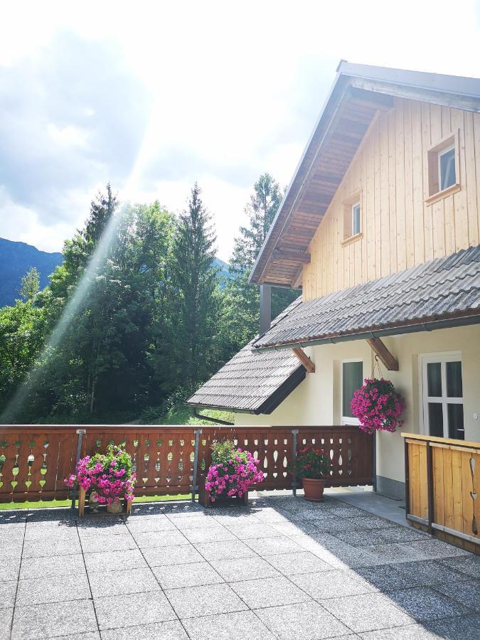 Trisa Apartment Bohinj
