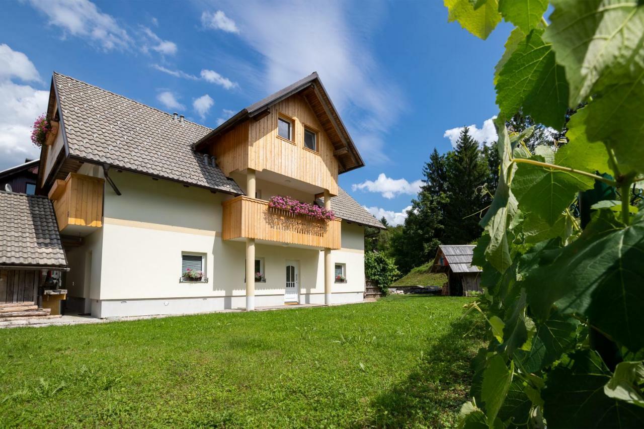 Apartment Trisa