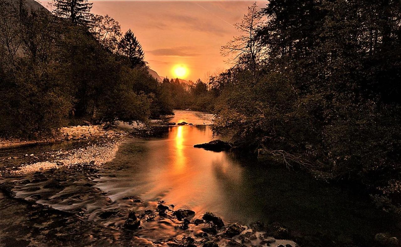 Trisa * Bohinj